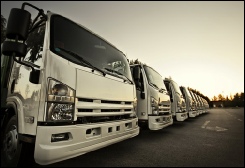 Heavy Duty Truck-Tractor Type Approval (N2-N3)