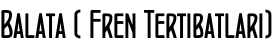 Balata ( Fren Tertibatları)